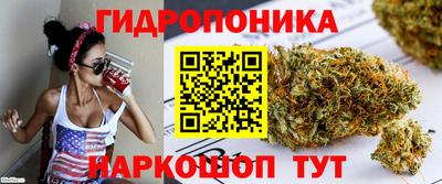 меф Краснознаменск