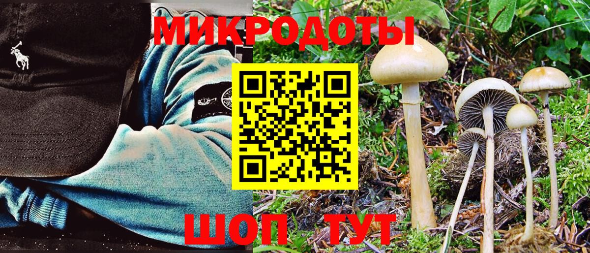 Псилоцибиновые грибы Cubensis Качканар