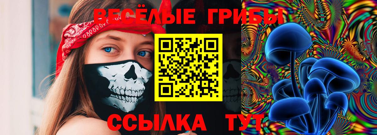 Качканар  Псилоцибиновые грибы Magic Shrooms  купить наркотики сайты  Вход с VPN 